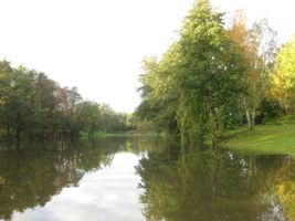 Cukrovarský rybník ve Vinoři 14.10.2014 (6).JPG